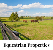 equestrian properties 