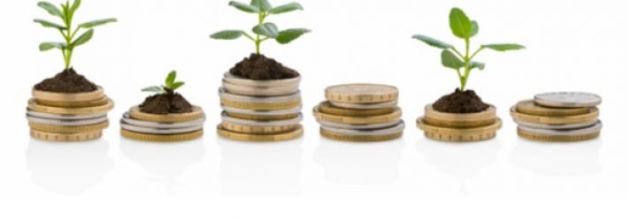 An Ounce of Gold or an Acre of Land?