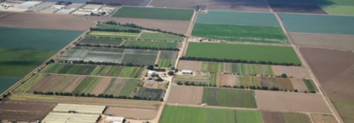 Farmland Goes Mainstream