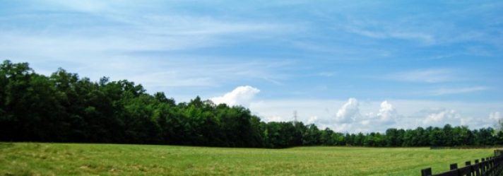 Presentation: Get Your Land on a Buyer’s Short List