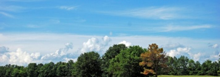 Selling Farmland or a Ranch: IRC Section 121 and Section 1031