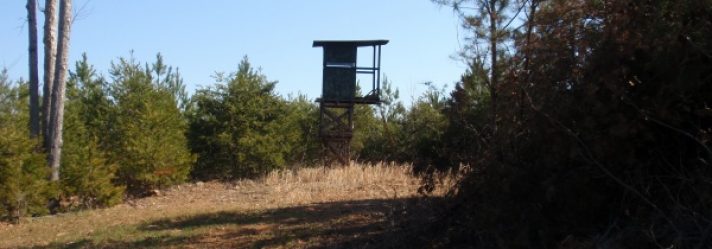 What To Look For When Purchasing Recreational And Hunting Properties