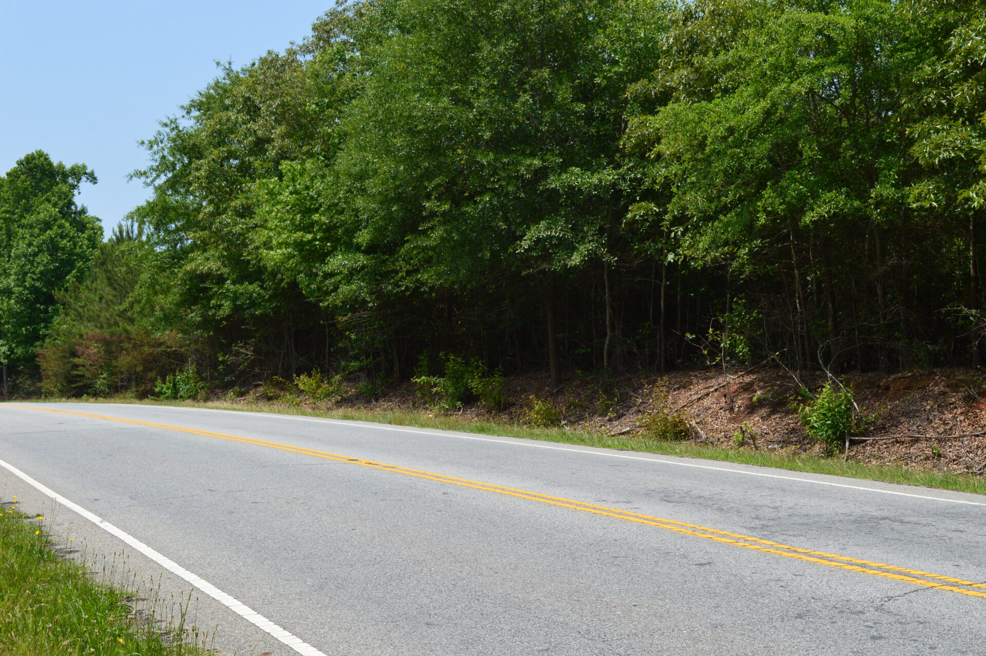 PRICE REDUCED!!! 24.35 Acres On Cannons Campground Road in Spartanburg