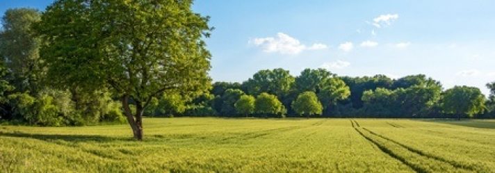 Three Benefits to Purchasing Land
