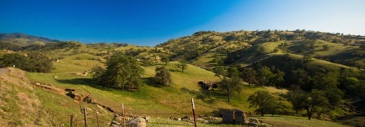 Benefits of Owning Farmland