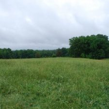 Purchasing Country Land Might Benefit Your Health