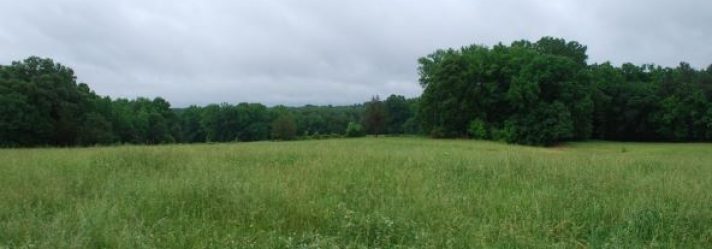 Purchasing Country Land Might Benefit Your Health
