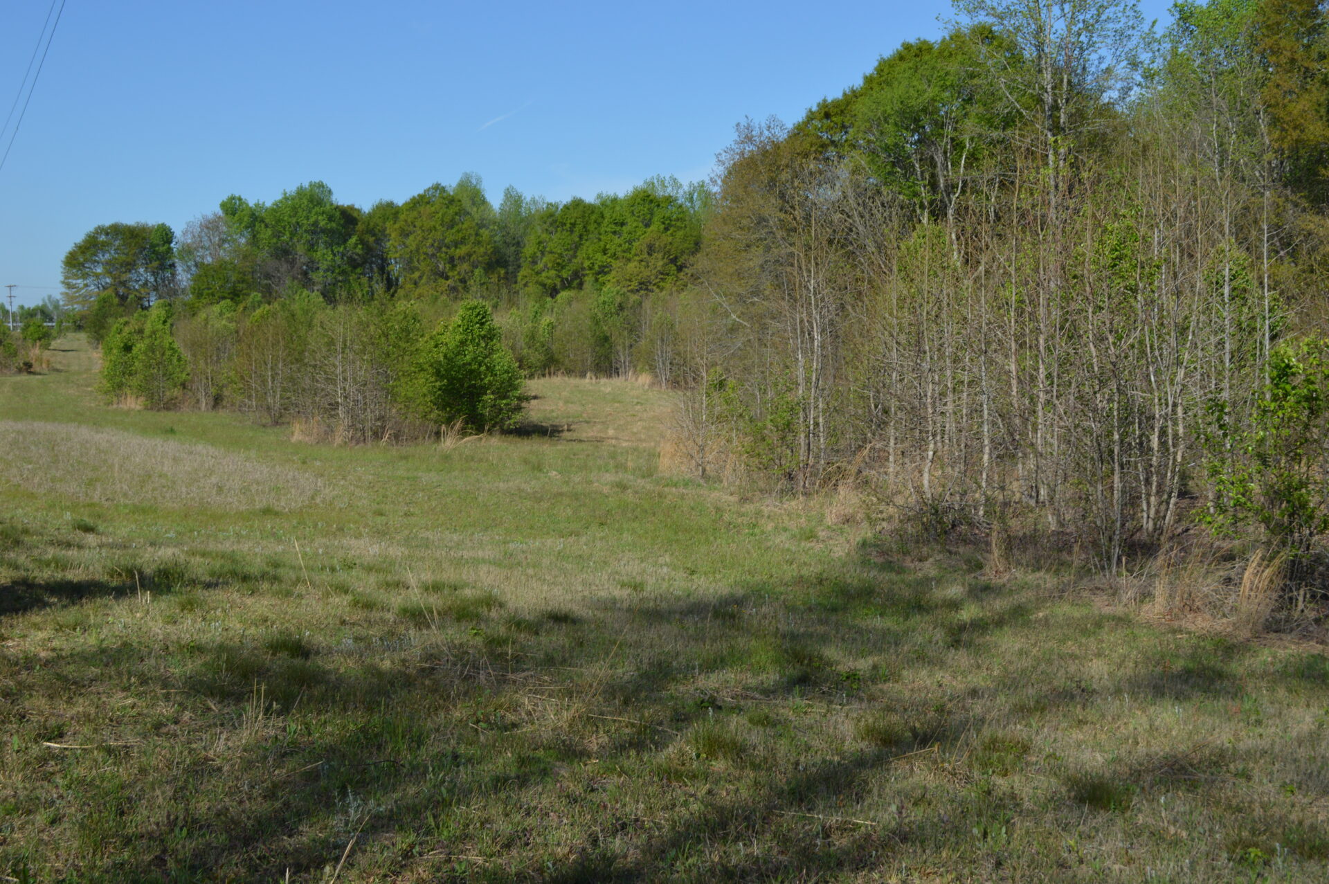17.78 Acres Of Development Land Near Inman In District 6 Metcalf Land
