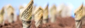 Investing in Land