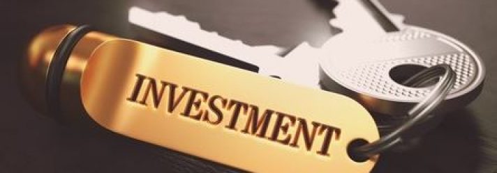 A Beginner’s Guide to Timberland Investing