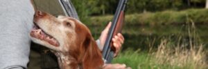 Hunting Land in South Carolina