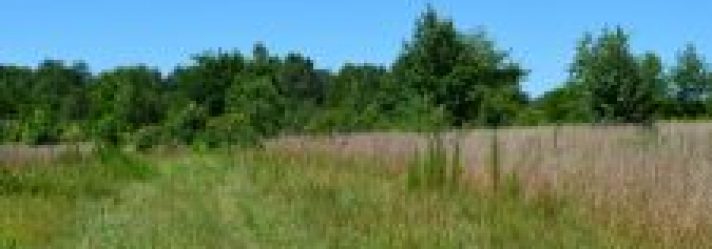 Reasons to Use an Accredited Land Consultant