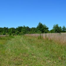 Land in South Carolina