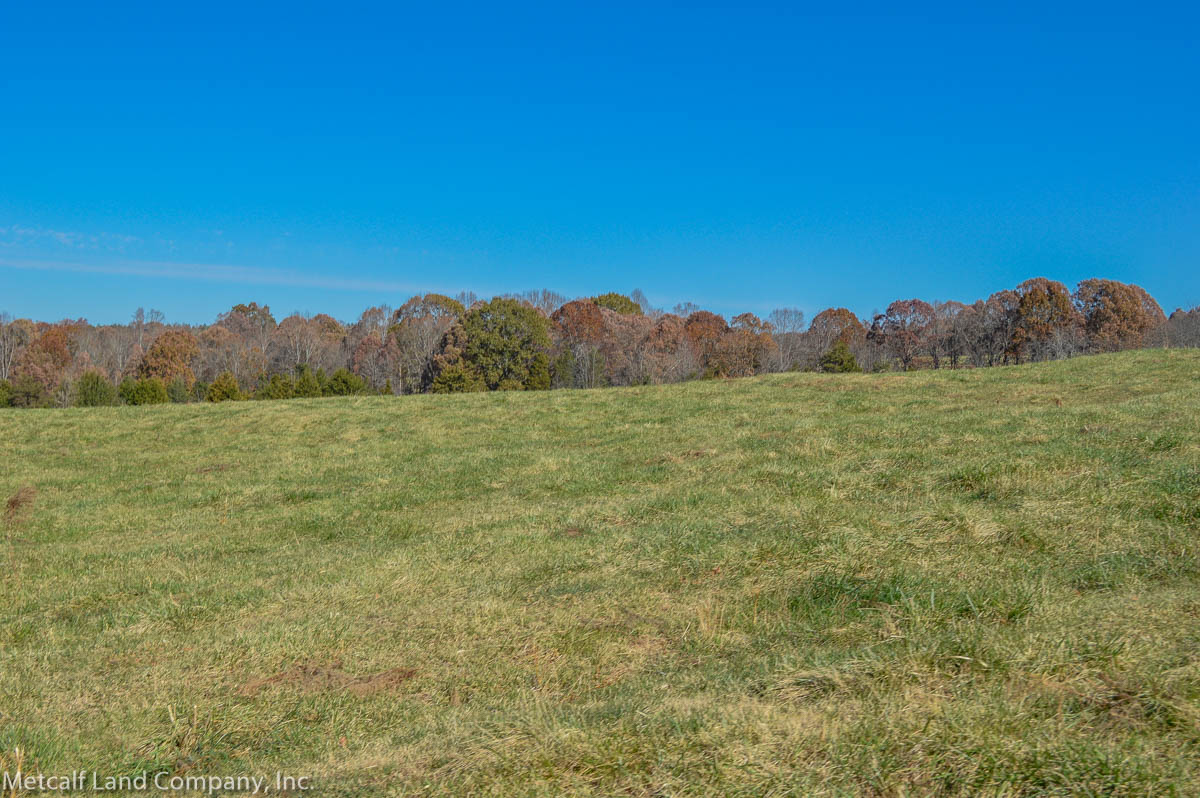 Pasture Land In Walnut Grove 21.17 Acres Metcalf Land Company Inc