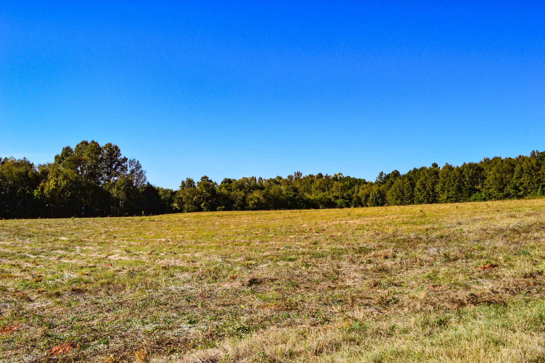 11.19 Acres Of Level, Open Land Near Moore Metcalf Land Company Inc