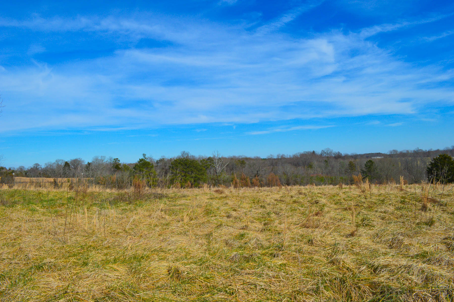 19.2 Acres Near Green Creek NC Metcalf Land Company Inc