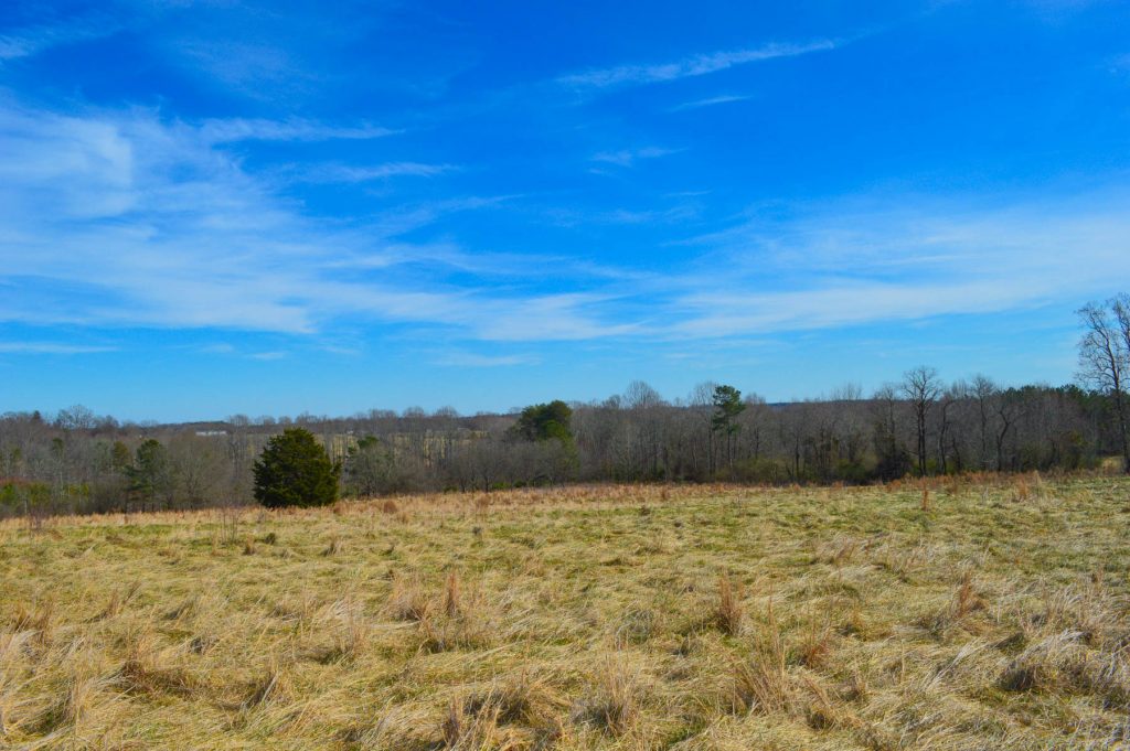 19.2 Acres Near Green Creek NC Metcalf Land Company Inc