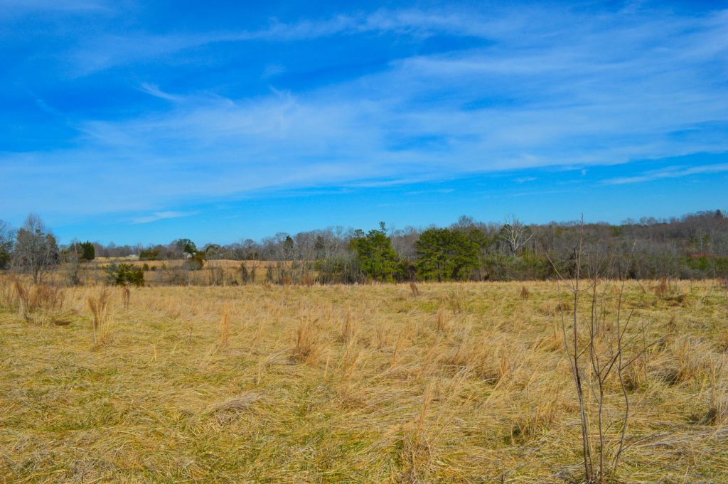 19.2 Acres Near Green Creek NC Metcalf Land Company Inc