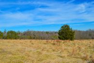 19.2 Acres Near Green Creek NC