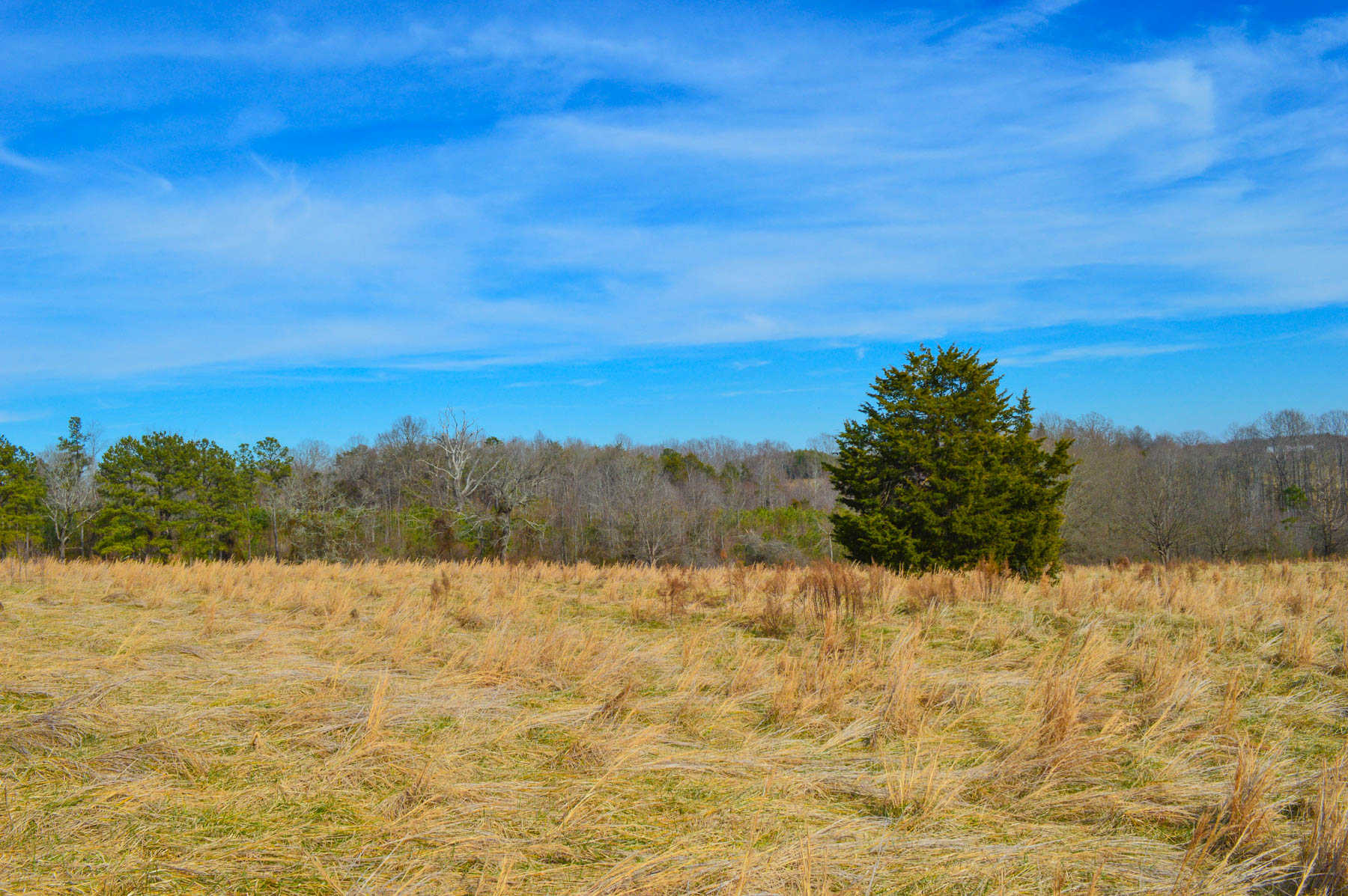 19.2 Acres Near Green Creek NC Metcalf Land Company Inc