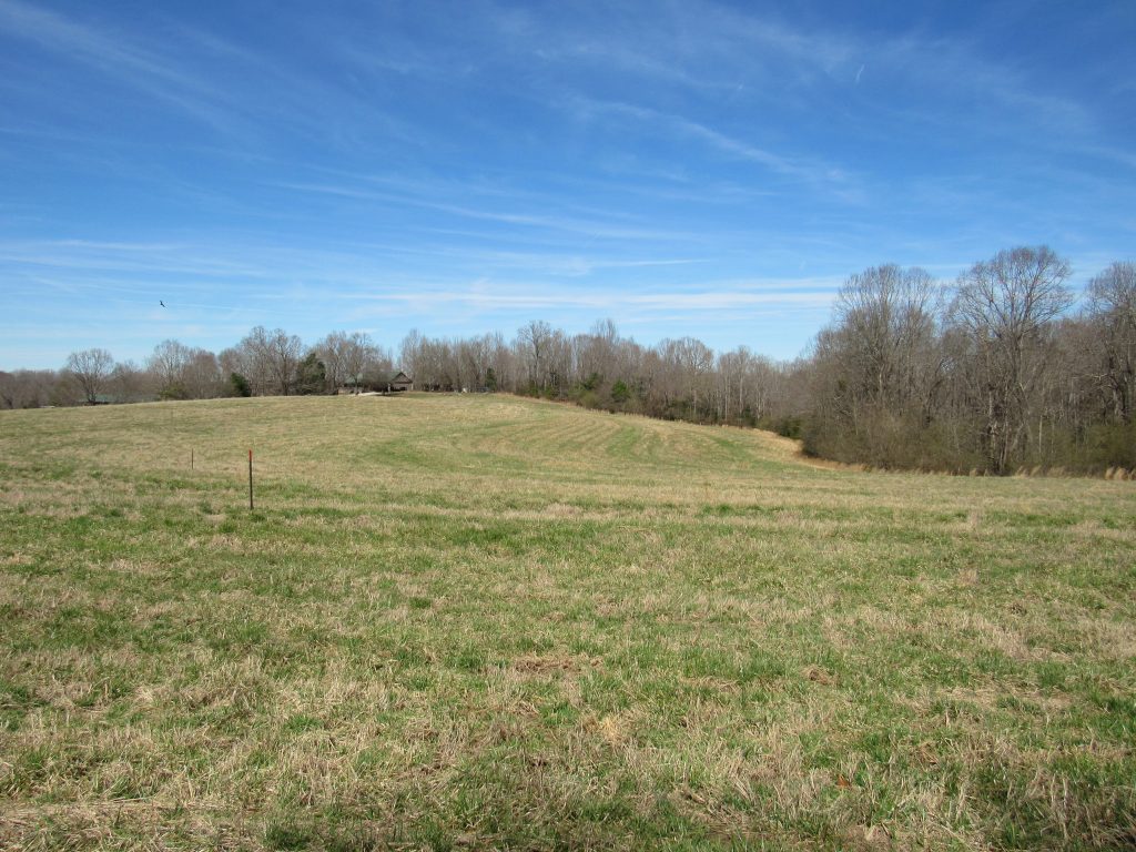 23 Acre River Front Mini Farm/Hunting Retreat Tract Convenient To