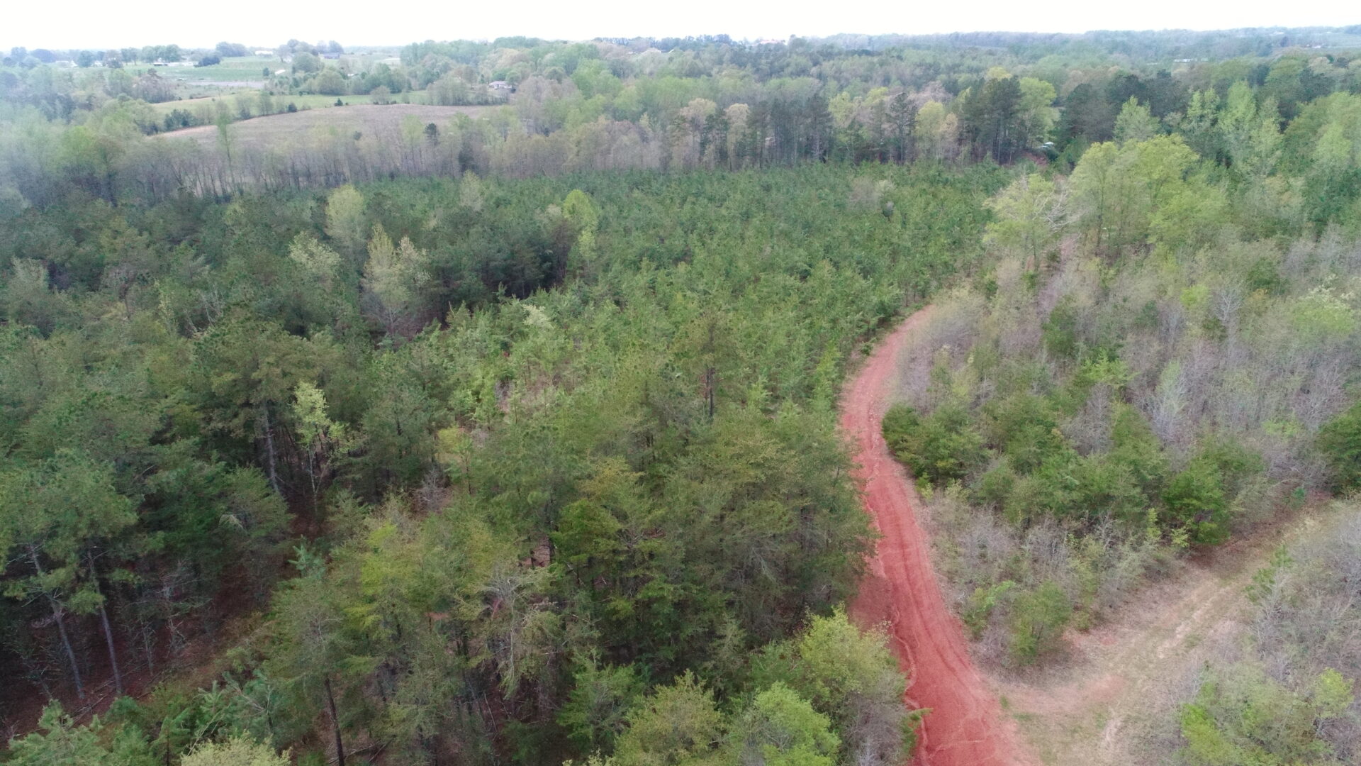 Rare Large Tract For Development, Agriculture, Recreational or