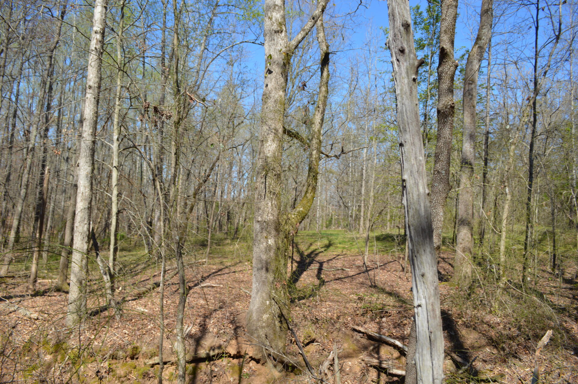 26+/ Acres Near Boiling Springs Metcalf Land Company Inc