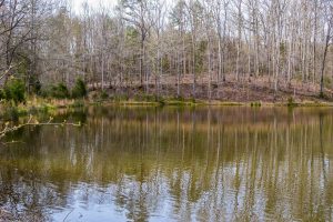 Country Homes in South Carolina