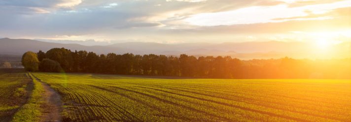 Avoid These Mistakes When Purchasing Rural Land