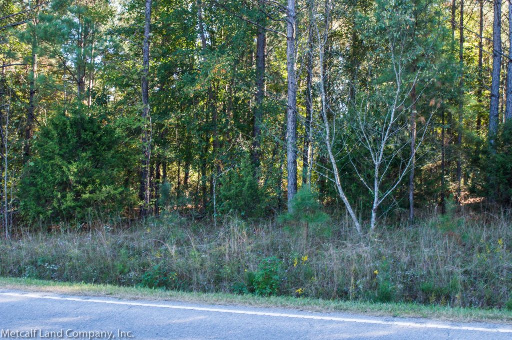 Wooded Homesite in Jonesville, SC Metcalf Land Company Inc