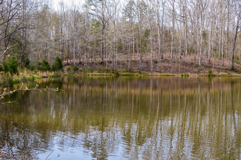 Waterfront Property in South Carolina