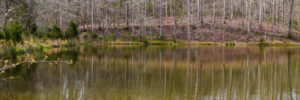 Waterfront Property in South Carolina