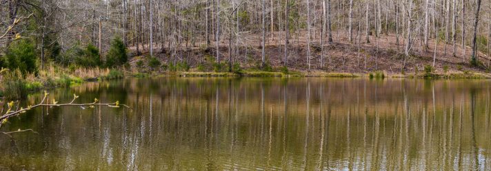 Why Do Waterfront Properties Cost More Money?