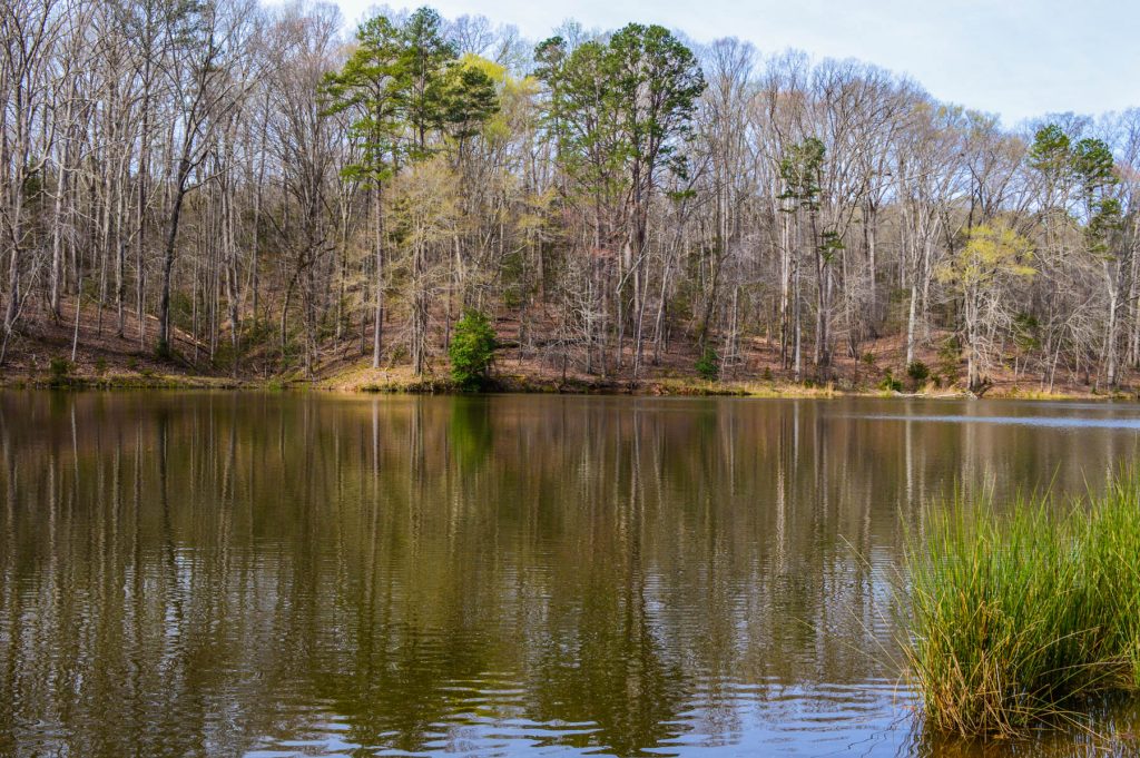 20+/ Acres With Large Private Pond Near Woodruff Metcalf Land