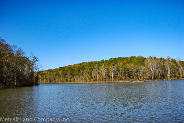 56 Acres on Lake Blalock Metcalf Land Company Inc
