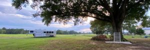 Equestrian Properties