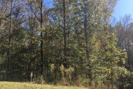 Great Building Lot in Chickasaw Point Golf Community