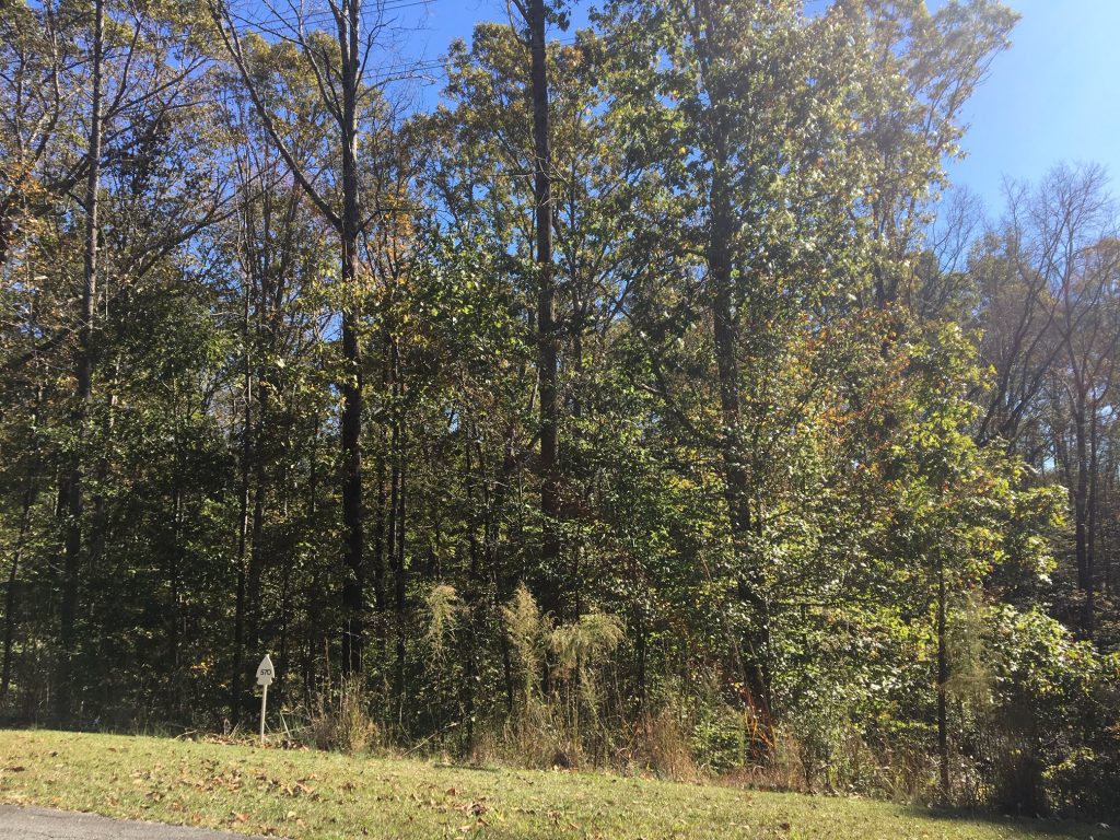 Great Building Lot in Chickasaw Point Golf Community Metcalf Land