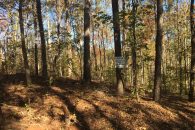 Gorgeous Wooded Building Lot in Foxwood Hills