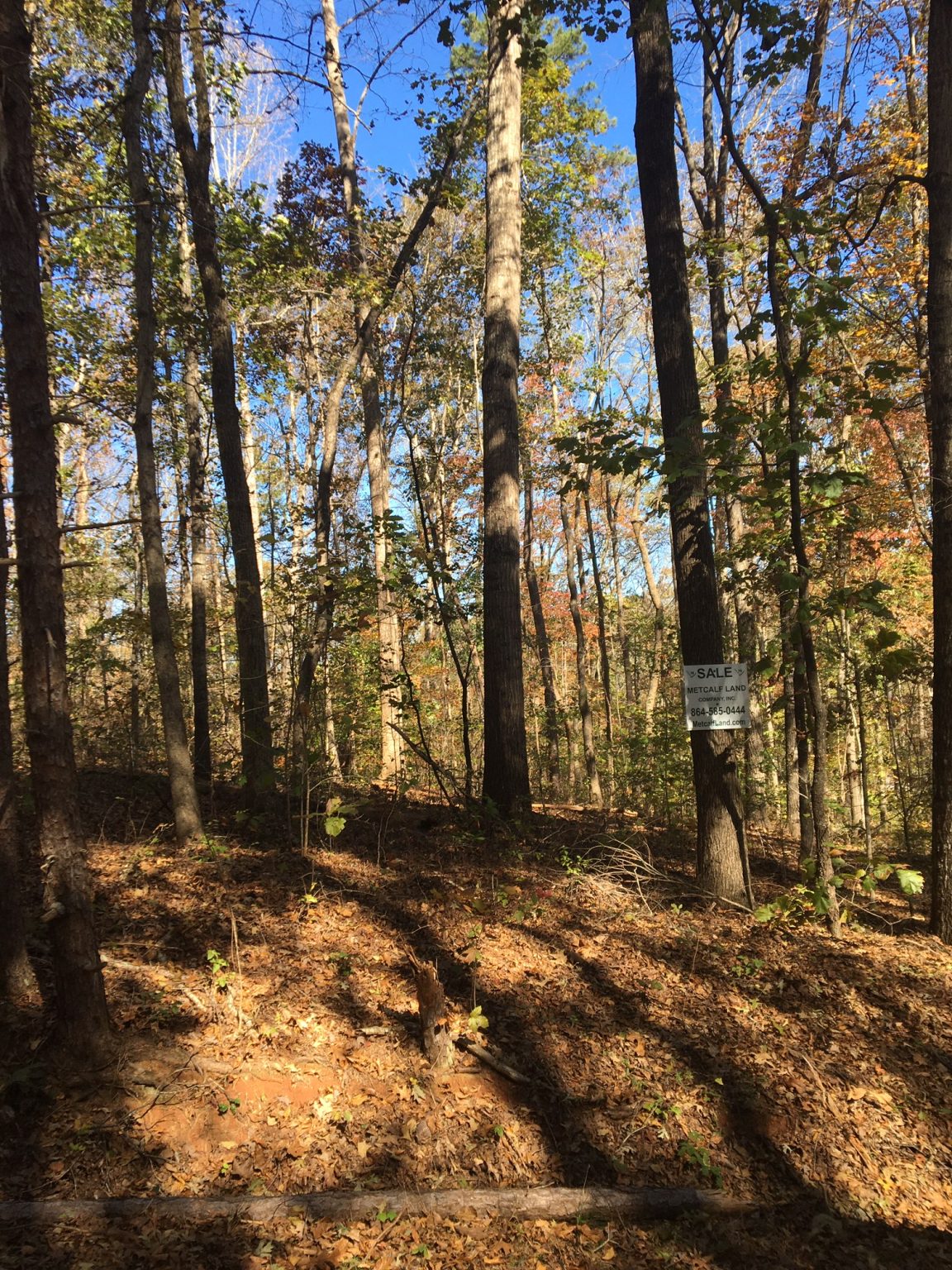 Wooded Building Lot in Foxwood Hills Metcalf Land Company Inc