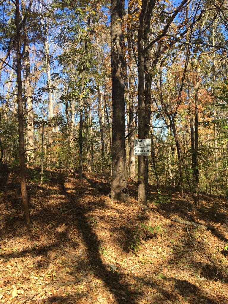 Wooded Building Lot in Foxwood Hills Metcalf Land Company Inc