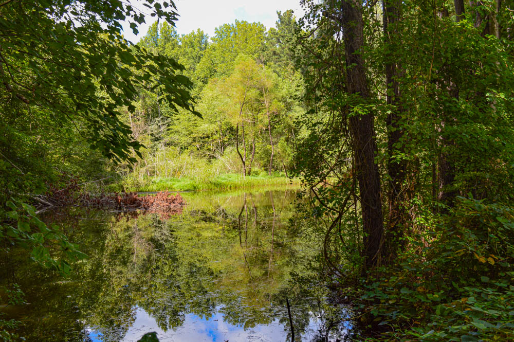 Waterfront Property in South Carolina