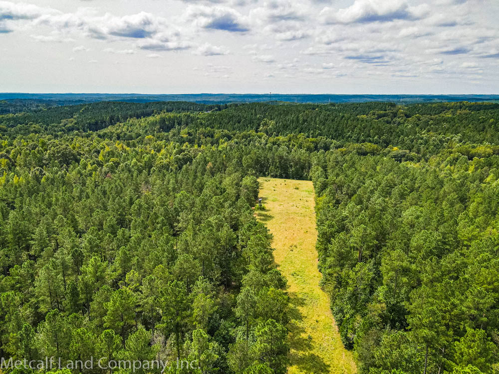 Aerial Shot of Agriculture Land in South Carolina