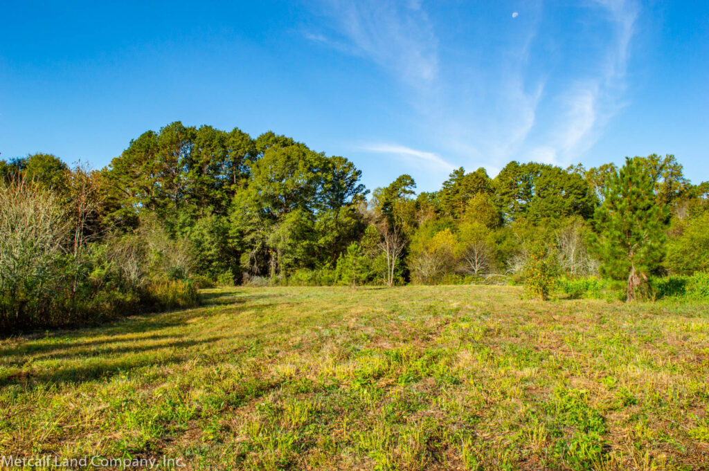 Plot of Land in South Carolina