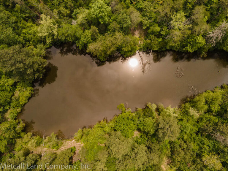 75 Acres Bordering Game Management Land & Fairforest Creek Metcalf