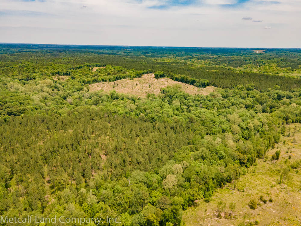 Timberland Land in South Carolina