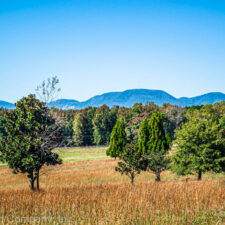 Vanderbilt Farms - Gated Estate Lots Ranging from 3-12 Acres in Campobello, SC at Old Asheville Hwy, Campobello, SC 29322, USA for 157500
