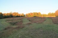 16 Acre Commercial Tract Or Homesite On Highway 176