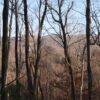 43 Acres Of Pristine Land In Travelers Rest
