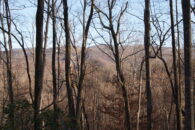 43 Acres Of Pristine Land In Travelers Rest